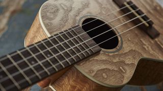 Close up of ukulele strings
